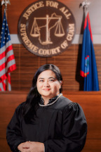 Honorable Elyze M. Iriarte